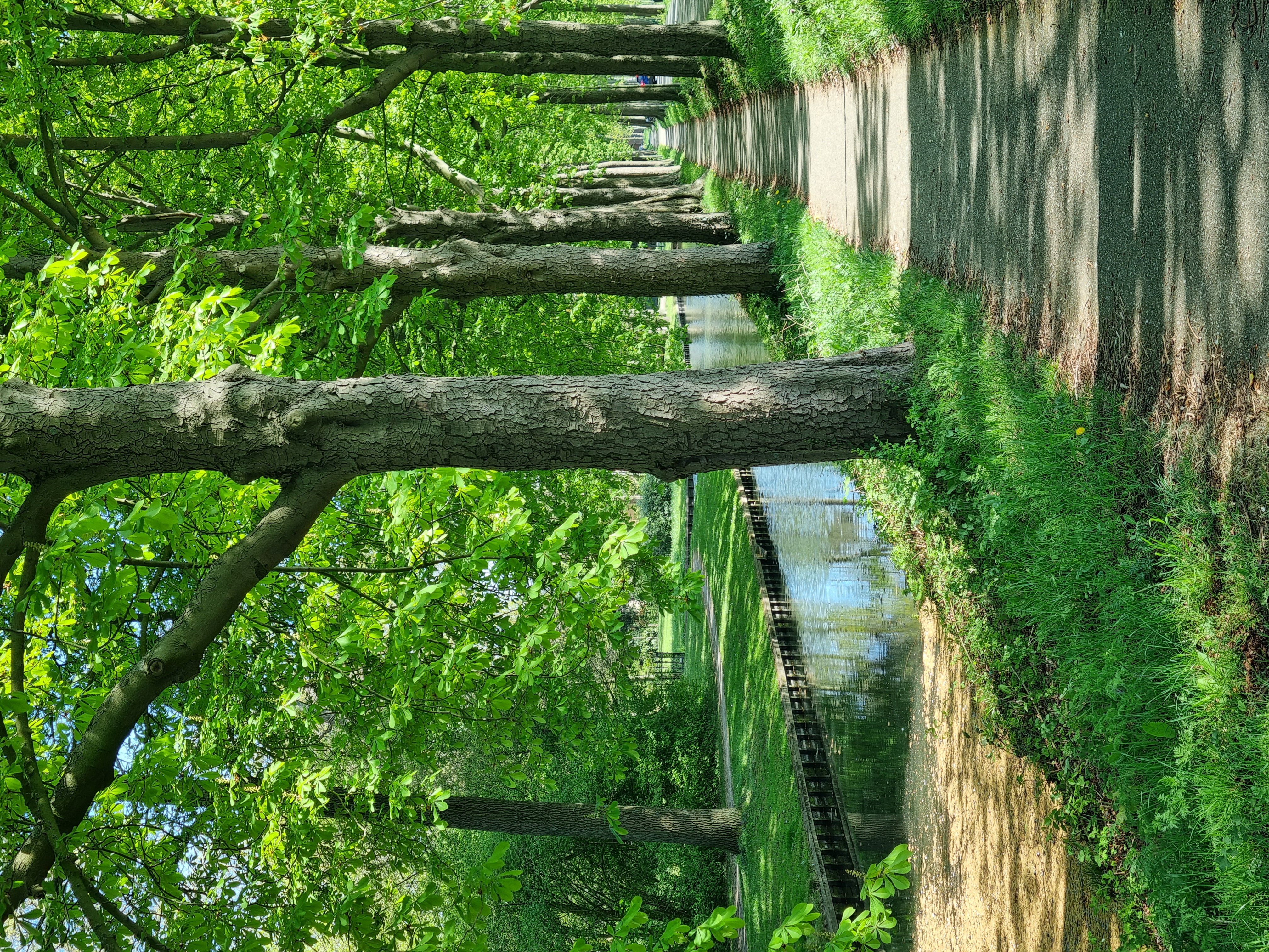 Culemborg 6
